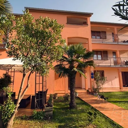 Cvek Apartman